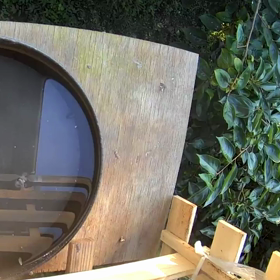 すぎぴたんの事件簿シーズン2　346話（シジュウカラおどろく）の画像