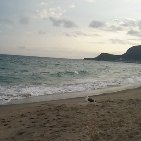 カモメと二人の画像