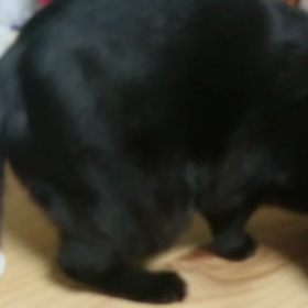 新しい遊び？((笑))の画像