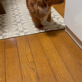 野菜好きの画像