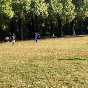 ジャベリック⑤の画像