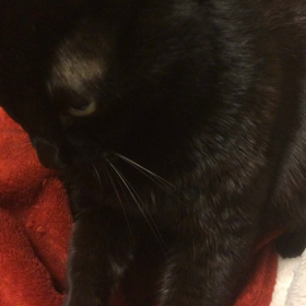 体がゆるむことが究極の整体状態の画像