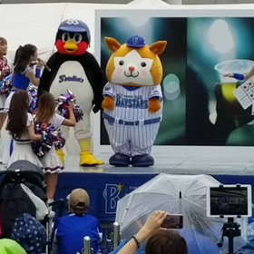 静止芸じゃないの画像