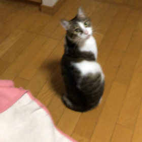 娘から泣きながら電話が来た…私も泣きたい。初保育園孫！ジム活。あくびにゃぁ〜の画像