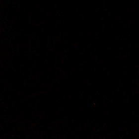 花火、、、の画像