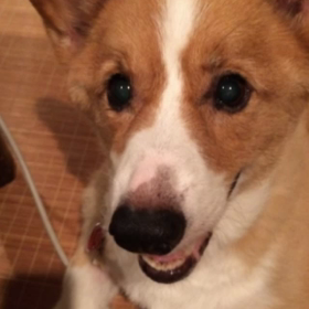 すみませ〜ん(>_<)の画像