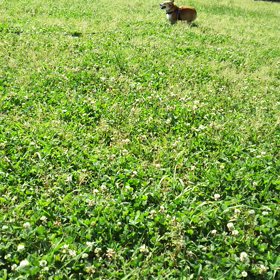 こっちはこっちでの画像