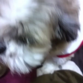 頑張ってるよ(๑•̀ㅂ•́)و✧の画像