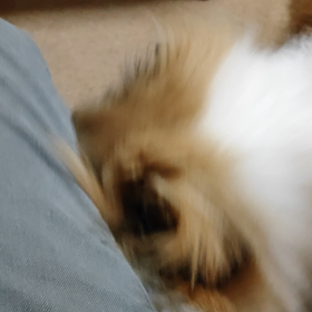 謎な遊びの画像