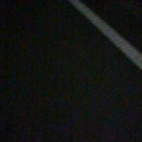 エゾセンニュウの画像