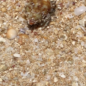 ビーチの雰囲気をどうぞ！（注:オチはないwwの画像