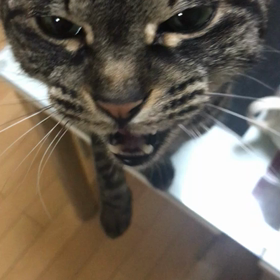 暇何ですけど……の画像