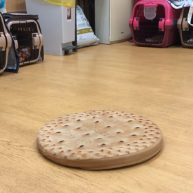 ラナ編。の画像