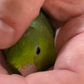 快適にしすぎたの画像