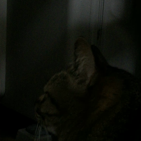 夜 その5の画像