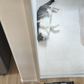 ウネウネの画像