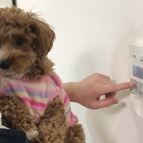 不思議がいっぱい　その２の画像