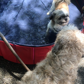 未満警察　第3話の画像