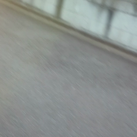 今年も元気にの画像