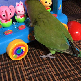 正夢？！！！！の画像