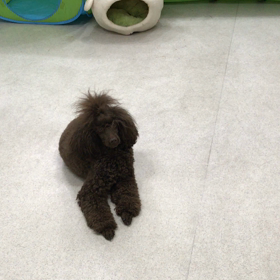 ♪プレイルーム動画♪の画像