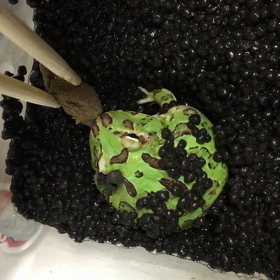 ★10月★の画像