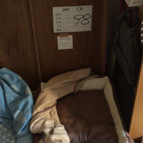 朝のみぃたんの画像