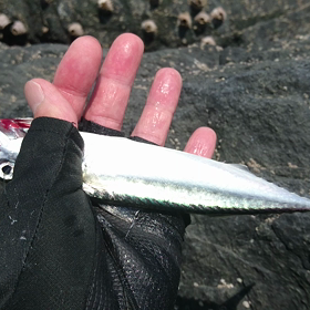 ハヤブサカップ2の画像