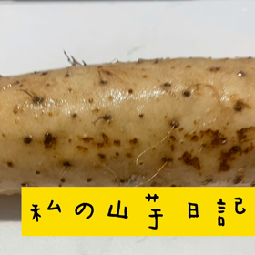 温まる免疫UP! 私の山芋日記の画像