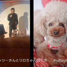 コラボをの画像