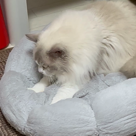 歳をとってもやめられない件。の画像