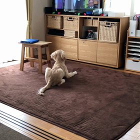 みやねやに物申すの画像