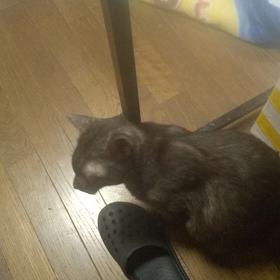 １番人気。の画像