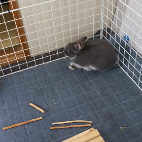 固まったwの画像