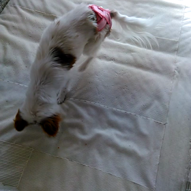 今朝の美玲ですの画像