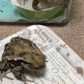 無言の会話の画像