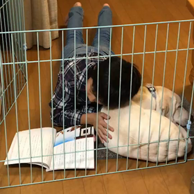 平和な世界、時間はゆっくり流れてく♪の画像