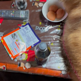 生卵コロコロの画像