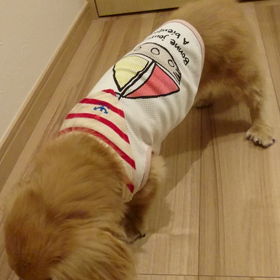 ごちそうさまU^ェ^Uの画像