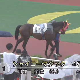 シャイニーマジック　(盛岡)の画像