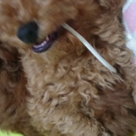 大好き(*^^*)の画像