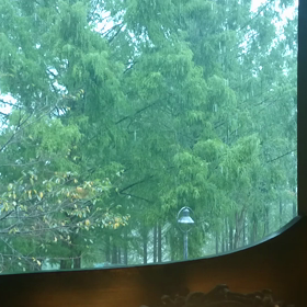 #24　結果（動画）の画像