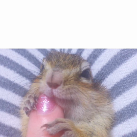 ぷぅちゃん ママの指をぎゅっぎゅっ♡♡の画像