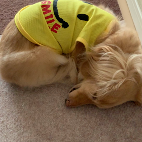 お嬢様受難の日の夜 2の画像