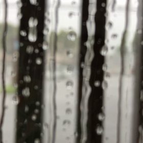 こないだの雨の画像