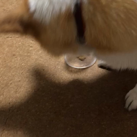 カラカラ☆マシーン⁇その後の画像