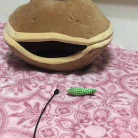 間  違った使い方の画像