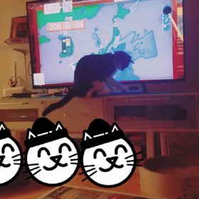 平井さんの棒　猫あるあるの画像