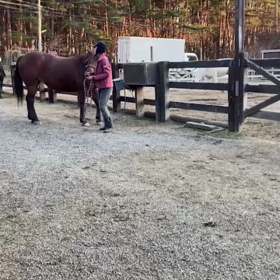 リラは，もう大丈夫です！*\(^o^)/*の画像