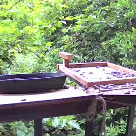 すぎぴたんの事件簿シーズン2　304話（レストラン、ビフォーアフター）の画像